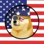 USDOGE image